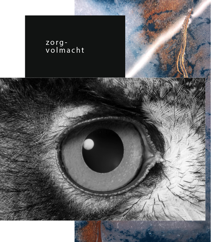 zorg-volmacht.png